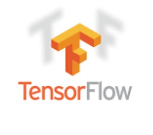 TensorFlow Icon